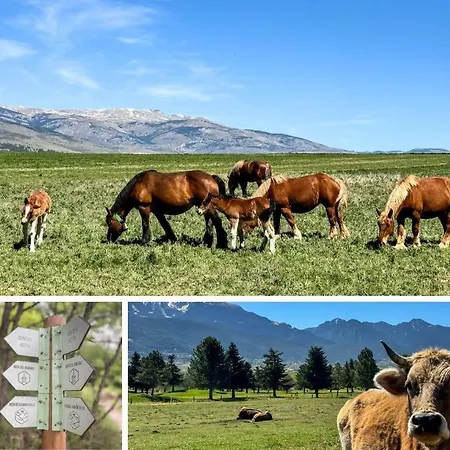 El Refugio Sujadaro * Osséja