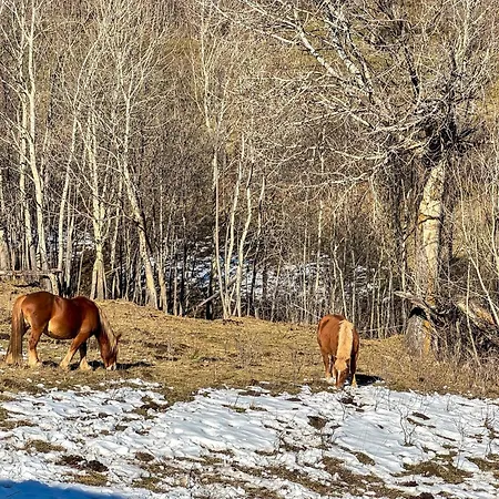 El Refugio Sujadaro Osséja